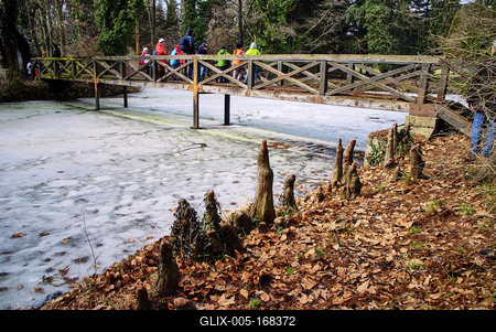 Alcsúti Arborétum-stock-foto