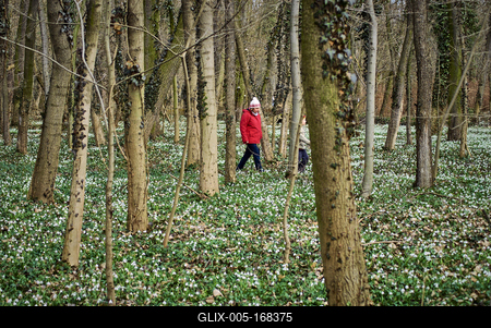 Alcsúti Arborétum-stock-foto