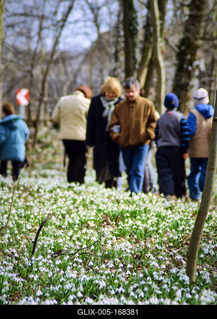 Alcsúti Arborétum-stock-foto