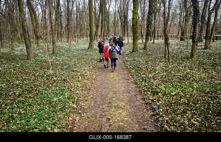 Alcsúti Arborétum-stock-foto