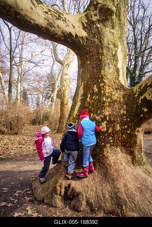 Alcsúti Arborétum-stock-foto