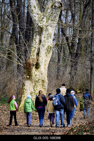 Alcsúti Arborétum-stock-foto