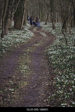 Alcsúti Arborétum-stock-foto