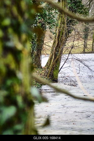 Alcsúti Arborétum-stock-foto