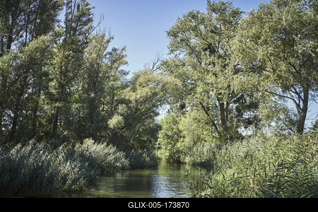 Szigetköz-stock-foto