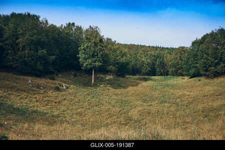 Bükk-hegység, Magyarország-stock-foto