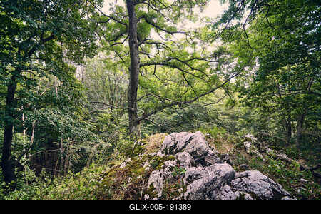 Bükk-hegység, Magyarország-stock-foto