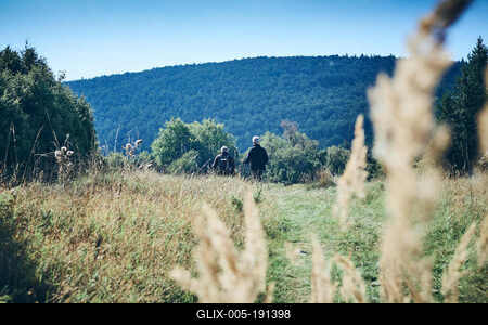 Bükk-hegység, Magyarország-stock-foto