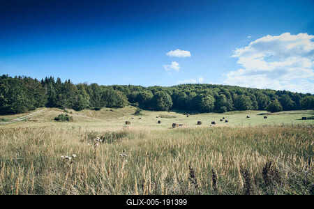 Bükk-hegység, Magyarország-stock-foto
