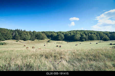 Bükk-hegység, Magyarország-stock-foto