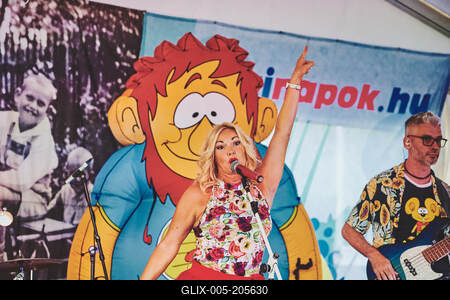 Az Apacuka zenekar koncertje-stock-foto