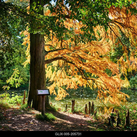 Alcsúti Arborétum, Alcsútdoboz-stock-foto