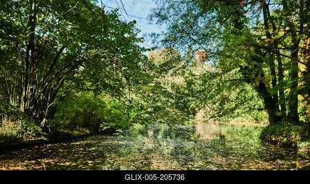 Alcsúti Arborétum, Alcsútdoboz-stock-foto