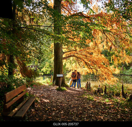 Alcsúti Arborétum, Alcsútdoboz-stock-foto