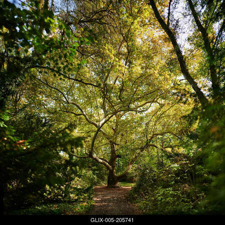 Alcsúti Arborétum, Alcsútdoboz-stock-foto