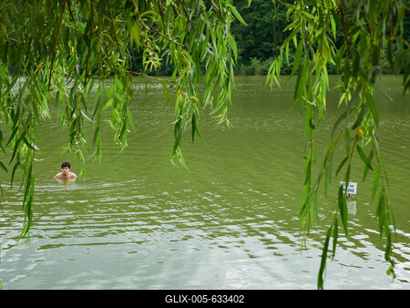 Kistolmácsi-tó-stock-foto