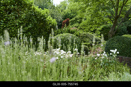 Barabás Villa, Budapest *** Lush Garden with Blooming Flowers-stock-foto