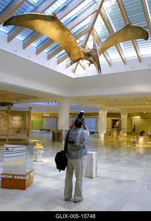 Tollas dinoszauruszok - 124 millió éves leletek Kínából-stock-foto