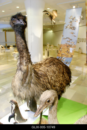 Tollas dinoszauruszok - 124 millió éves leletek Kínából-stock-foto