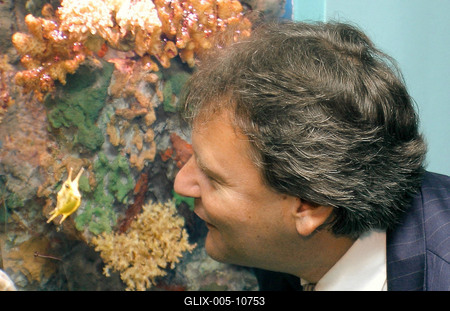 Tollas dinoszauruszok - 124 millió éves leletek Kínából-stock-foto