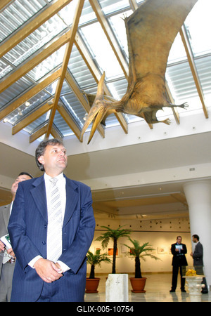 Tollas dinoszauruszok - 124 millió éves leletek Kínából-stock-foto