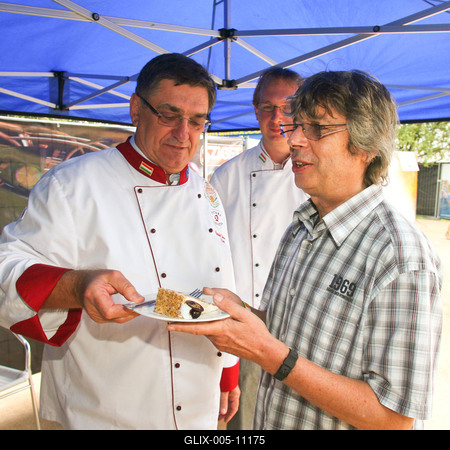 Szigetfesztivál 2009-stock-foto
