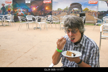 Szigetfesztivál 2009-stock-foto