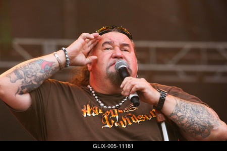 Szigetfesztivál 2009-stock-foto