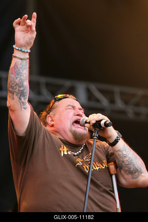 Szigetfesztivál 2009-stock-foto