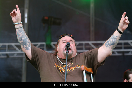 Szigetfesztivál 2009-stock-foto