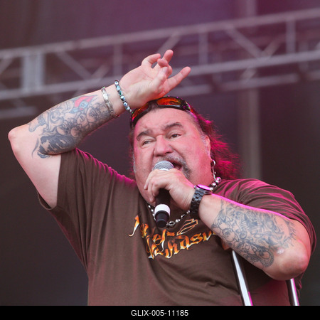 Szigetfesztivál 2009-stock-foto