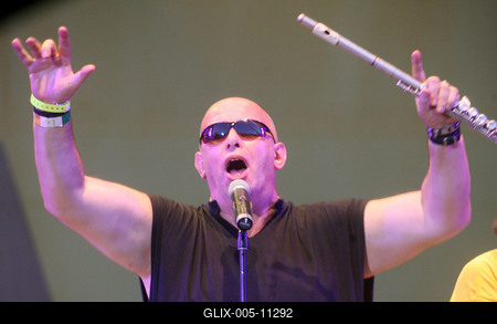 Magyar Dal Napja-stock-foto