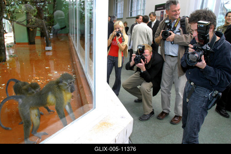 Megújult a kismajomháza budapesti állatkertben-stock-foto