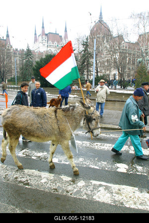 Agrárdemonstráció a Kossuth téren-stock-foto