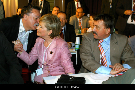 Szili Katalin az MSZP köztársasági elnökjelöltje-stock-foto