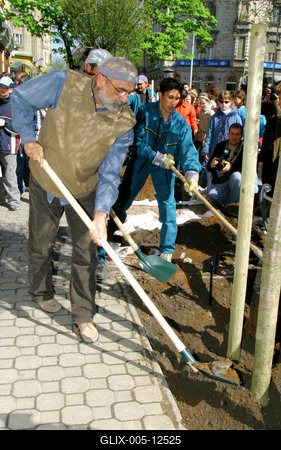 Faültetés a Föld Napja alkalmából-stock-foto