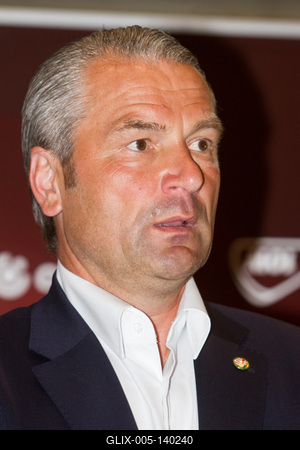 Hazaérkezett a magyar labdarúgó-válogatott a Franciaországi EB-ről-stock-foto