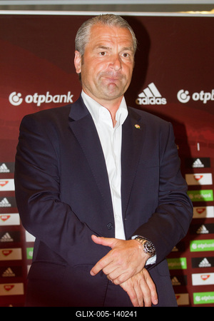 Hazaérkezett a magyar labdarúgó-válogatott a Franciaországi EB-ről-stock-foto