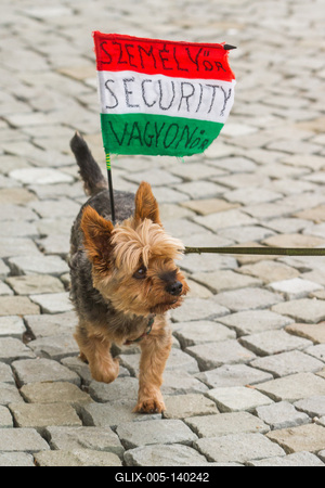 Hazaérkezett a magyar labdarúgó-válogatott a Franciaországi EB-ről-stock-foto
