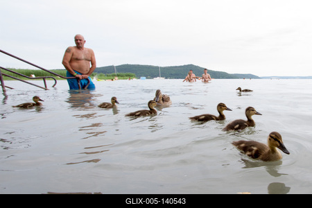 Örvényes Platán (Vadkacsa) szabadstrand-stock-foto