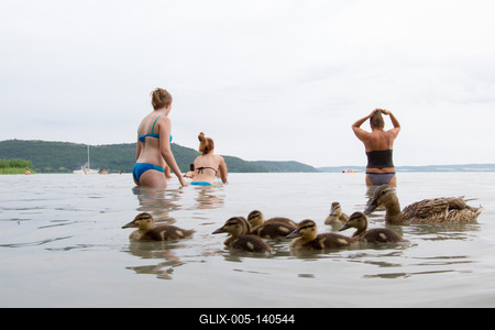 Örvényes Platán (Vadkacsa) szabadstrand-stock-foto