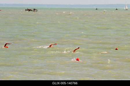 Fina Masters nyíltvízi úszó világbajnokság-stock-foto