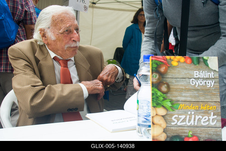 Pozsonyi Piknik-stock-foto