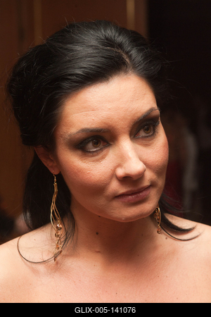 Sajtóbál a Hotel InterContinentalban-stock-foto