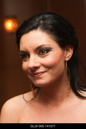 Sajtóbál a Hotel InterContinentalban-stock-foto