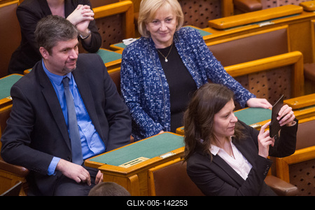 Politika - Határozatképtelen volt a rendkívüli ülés a Parlamentben-stock-foto