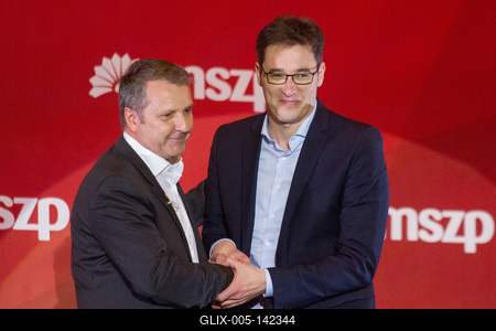 Politika - Bemutatta programját az MSZP-stock-foto