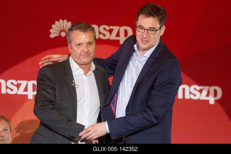 Politika - Bemutatta programját az MSZP-stock-foto