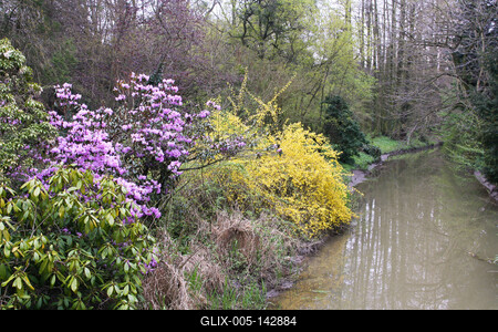 Kámoni Arborétm, Szombathely-stock-foto