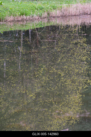 Kámoni Arborétm, Szombathely-stock-foto